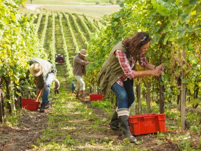 God Versus Our Controlling Behaviour